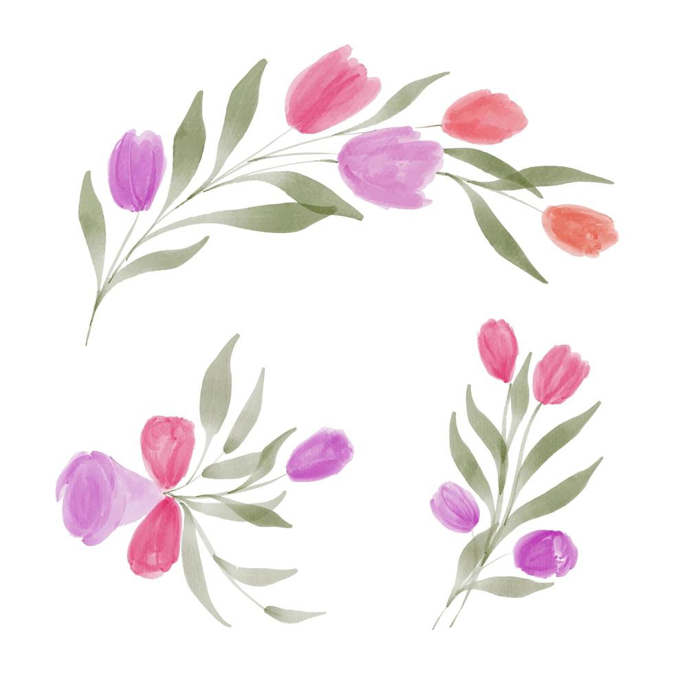 conjunto de arreglo floral de tulipán acuarela vector