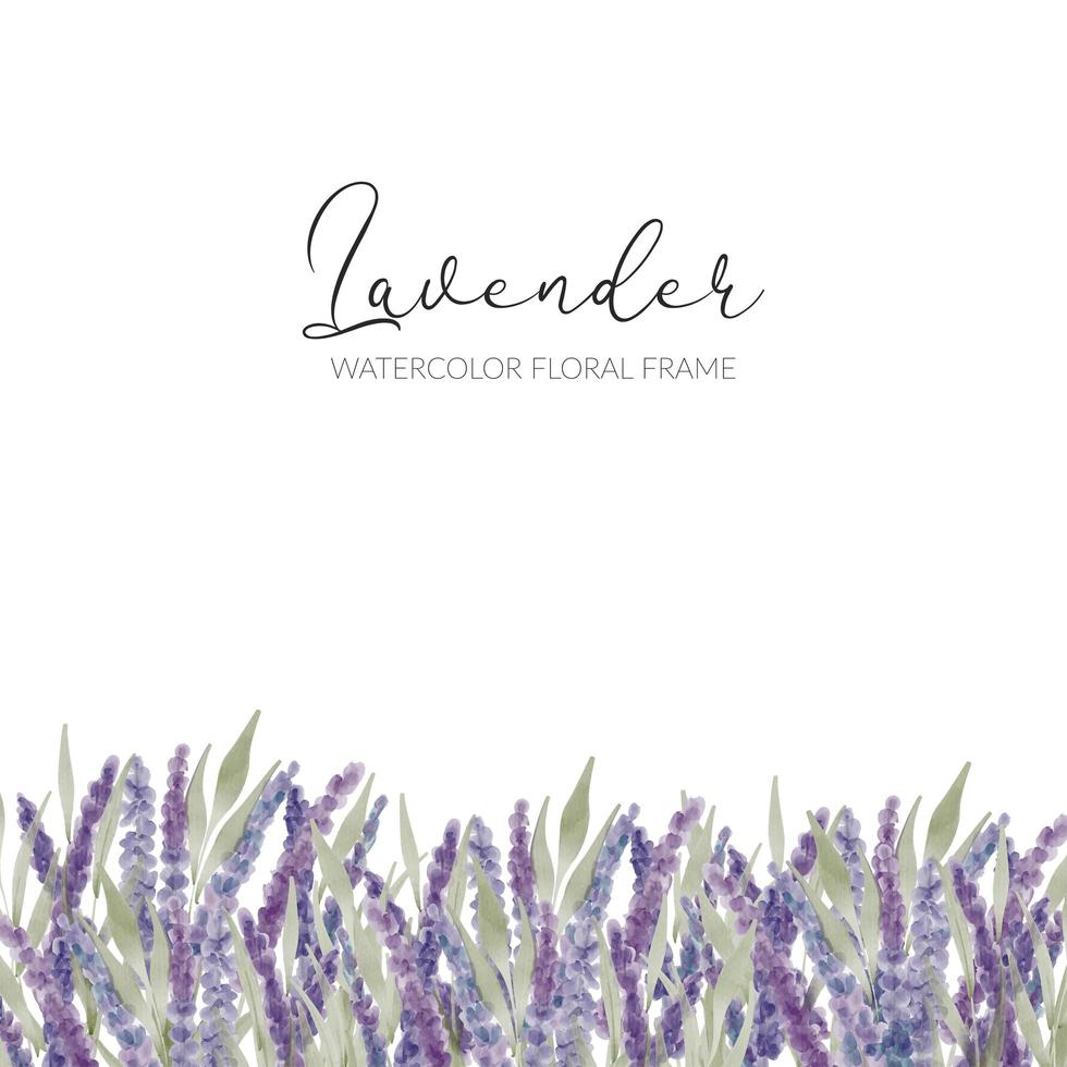 watercolor lavender floral frame vector