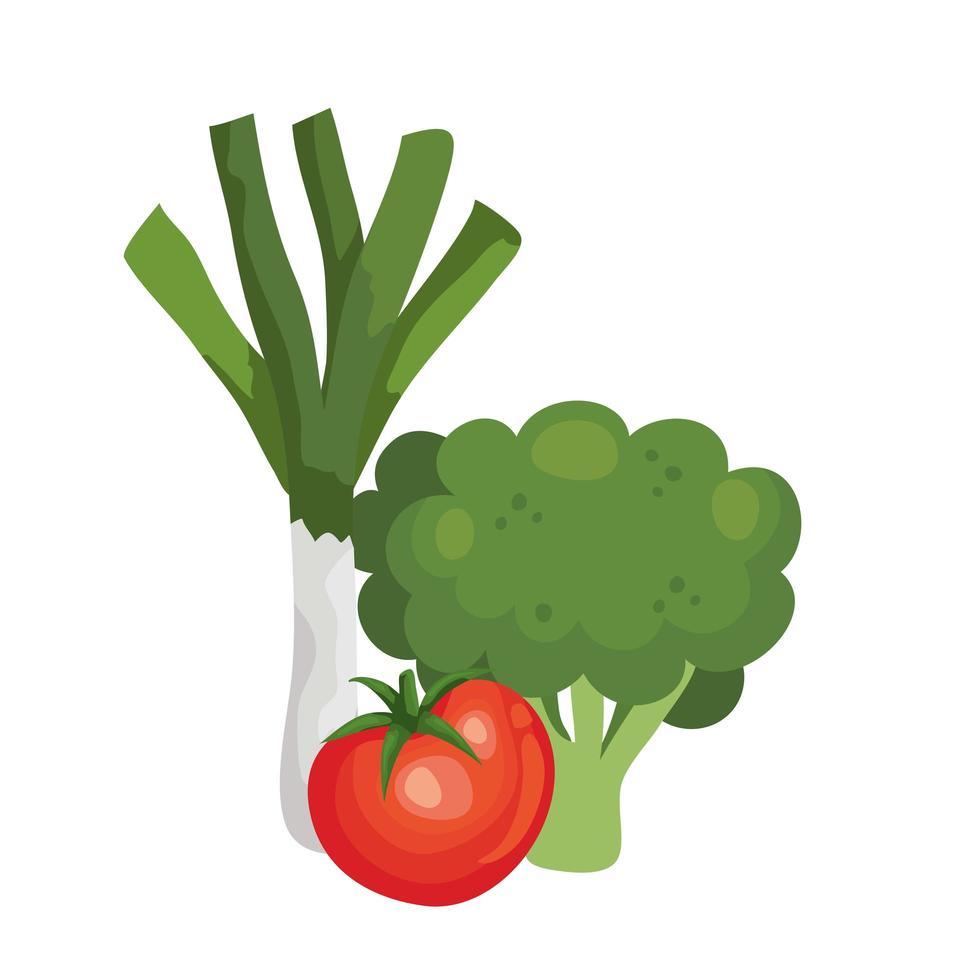 fresh broccoli with vegetables isolated icons vector