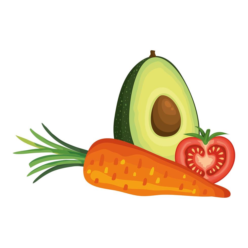 fresh tomato with carrot and avocado vector