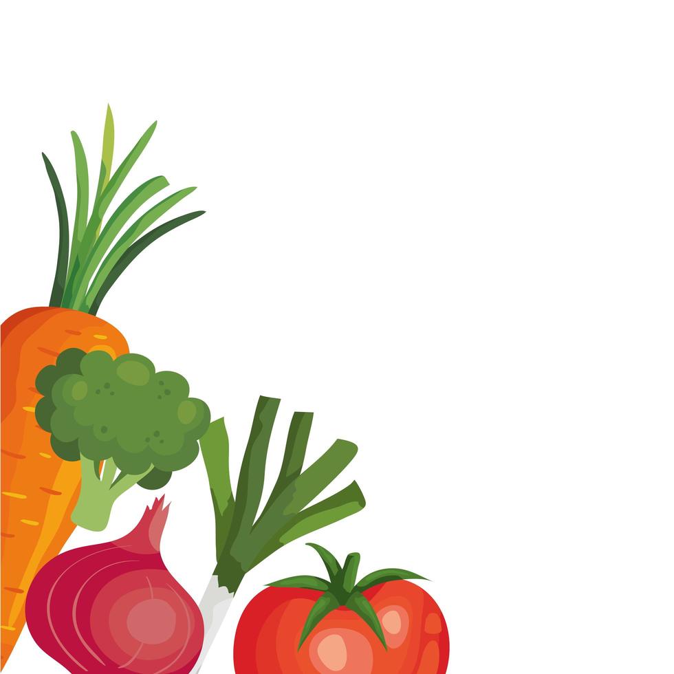 fresh tomato with vegetables isolated icons vector