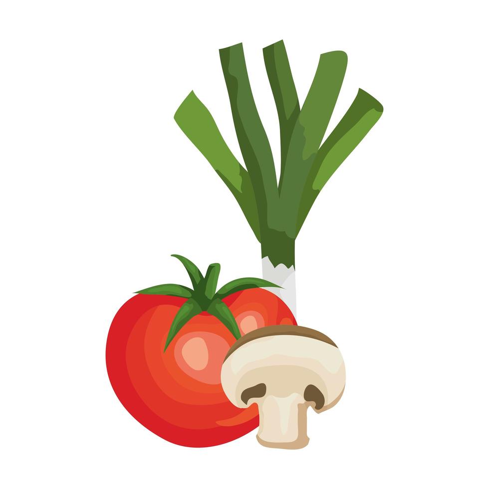fresh tomato with mushroom and leek vector