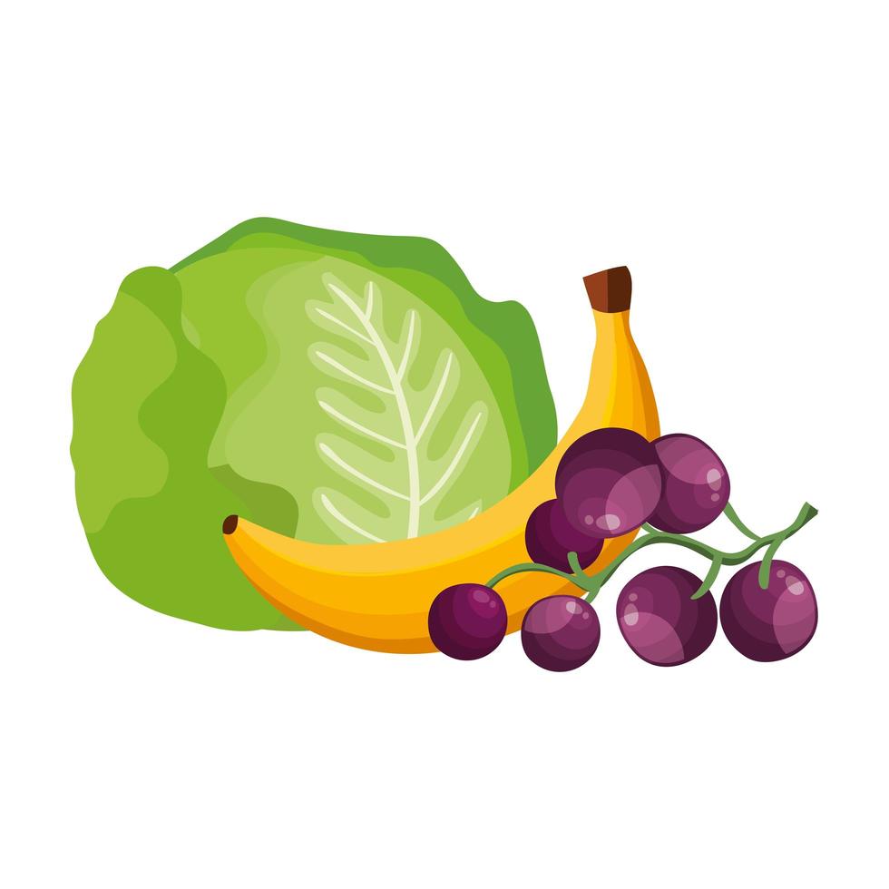 lechuga fresca con plátano y uvas vector