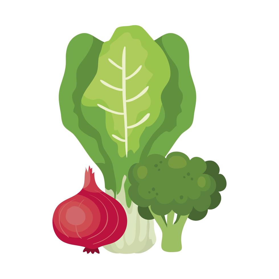 fresh broccoli with vegetables isolated icons vector
