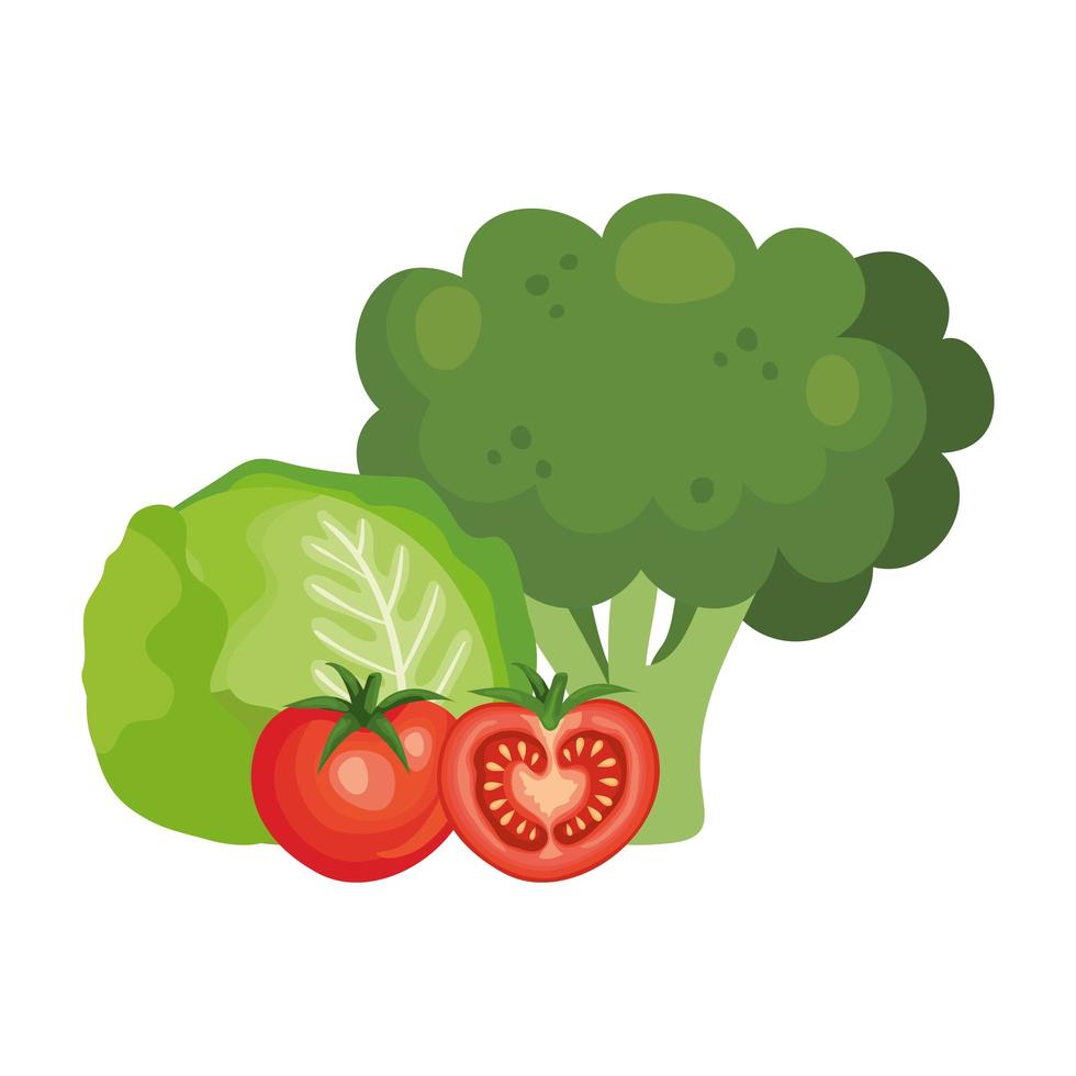 fresh broccoli with vegetables isolated icons vector