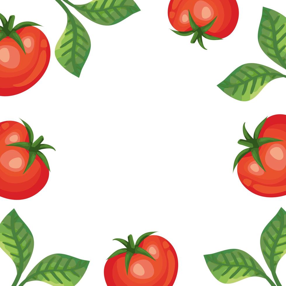 frame of fresh tomatoes and leafs vector