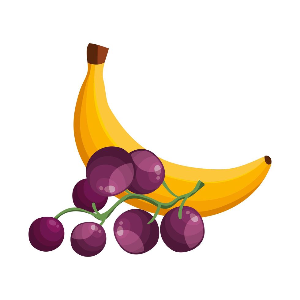 fresh banana with grapes fruits isolated icon 1908194 Vector Art at