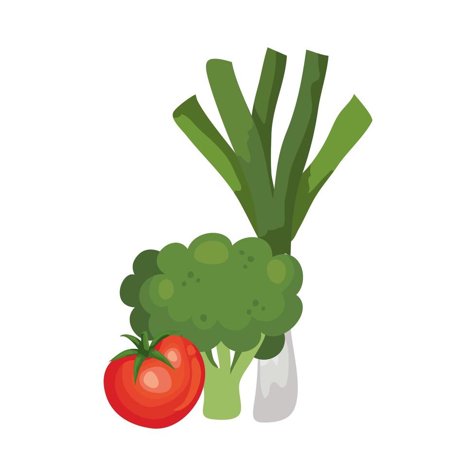 fresh tomato with broccoli and leek vector