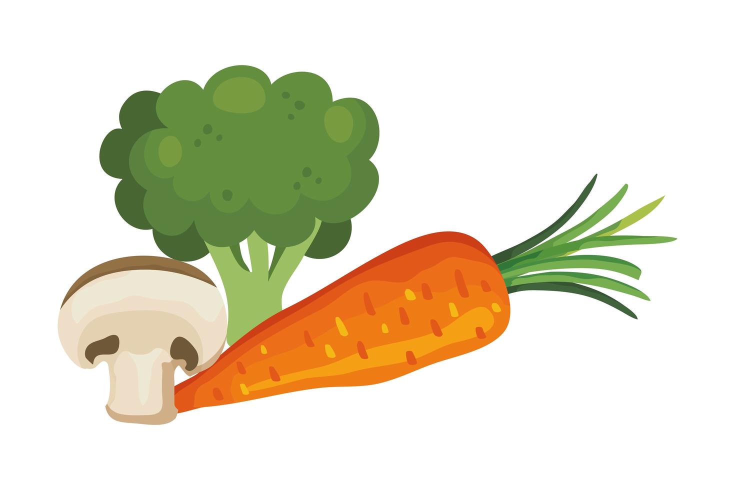 fresh carrot with broccoli and mushroom vector