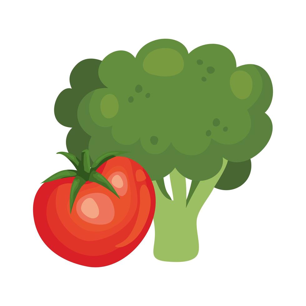brócoli fresco con verduras de tomate vector