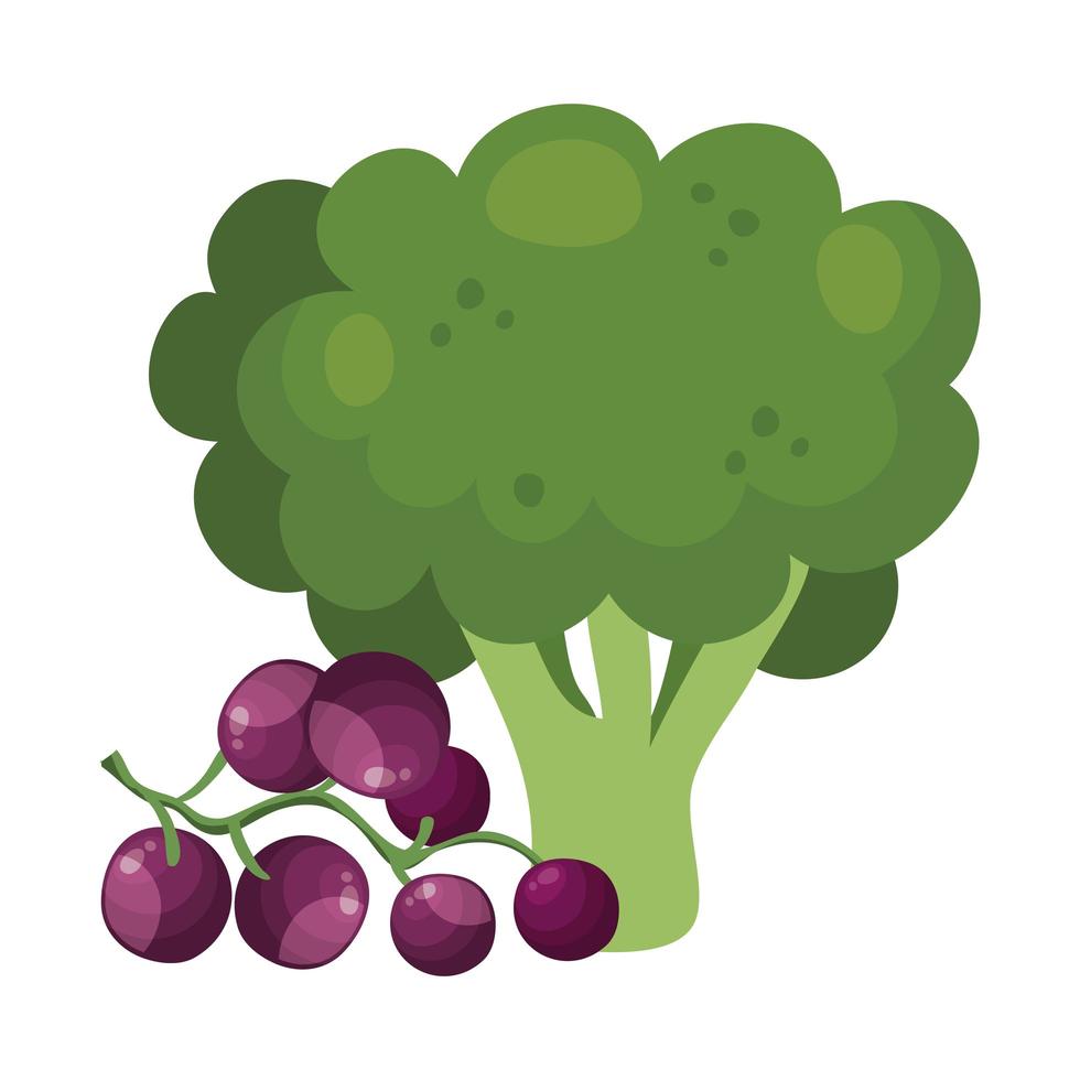 brócoli fresco con uvas icono aislado vector