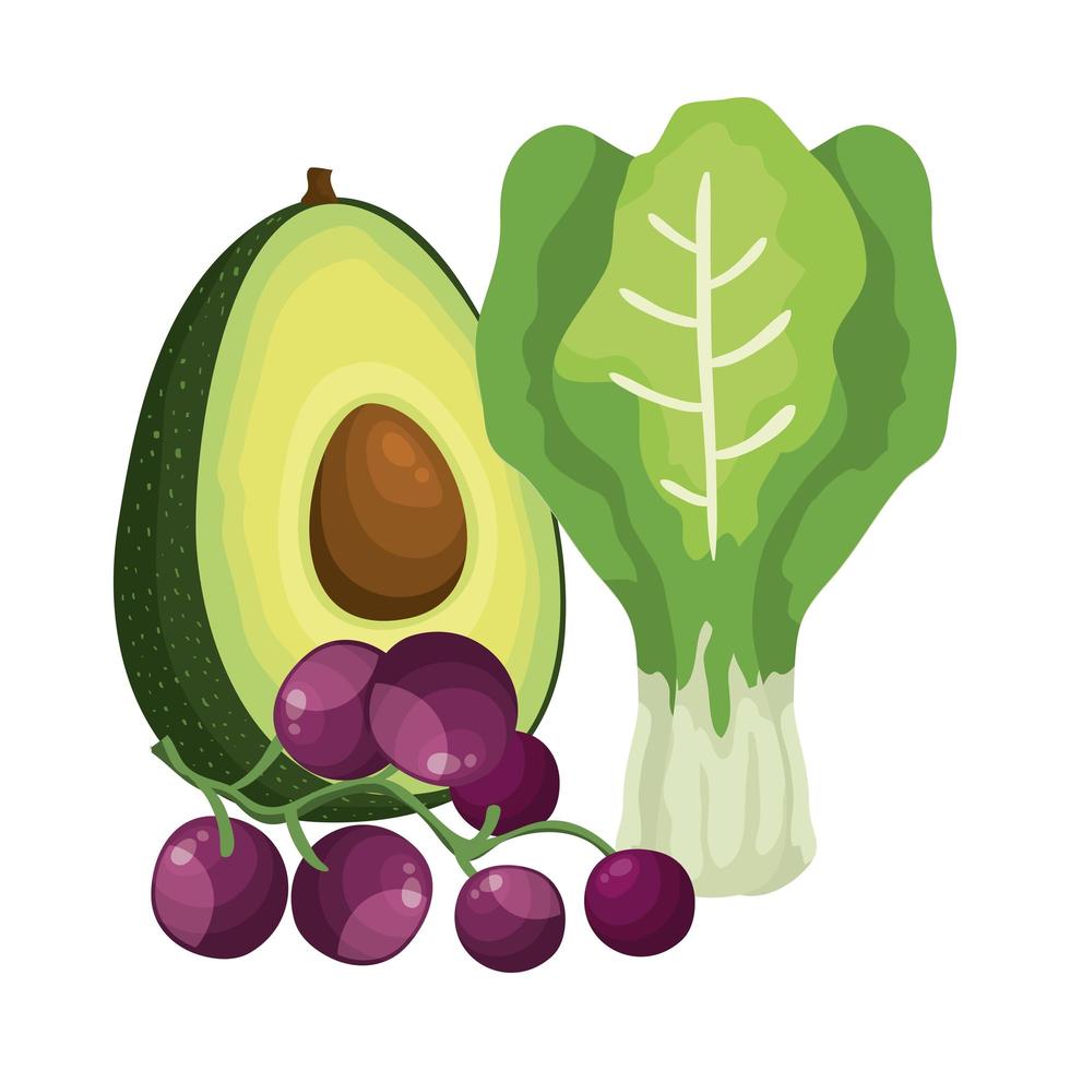 chard leafs with avocado and grapes vector