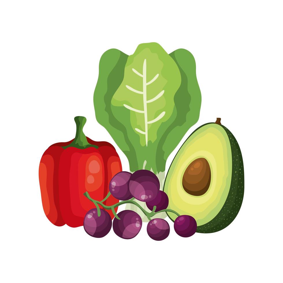 fresh vegetables and grapes fruits vector