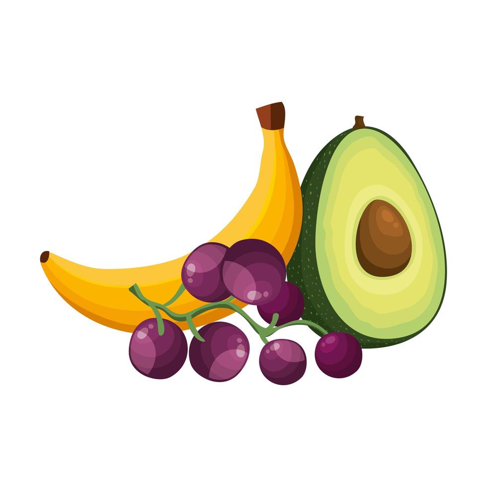 fresh avocado with grapes and banana vector