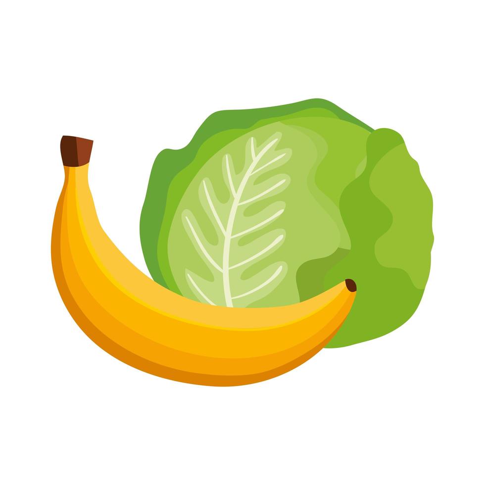 lechuga fresca con plátano icono aislado vector