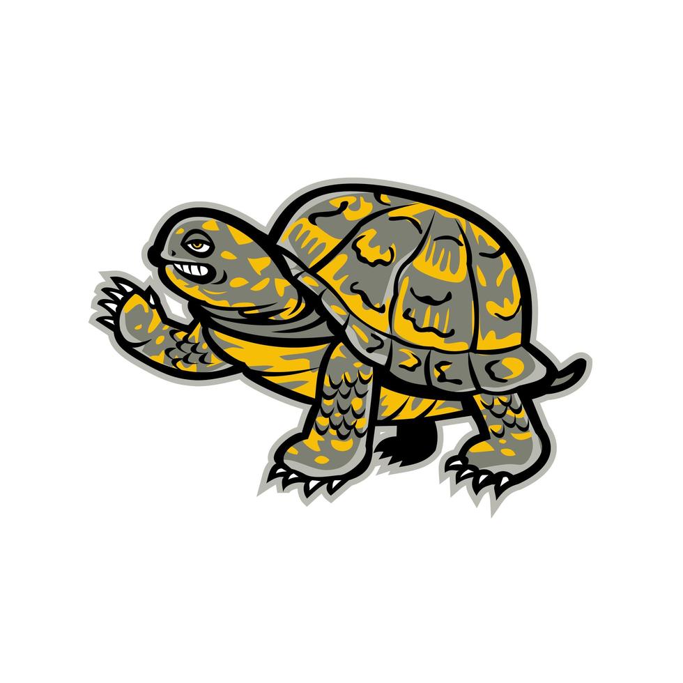 Tortuga de caja del este que agita la mascota vector