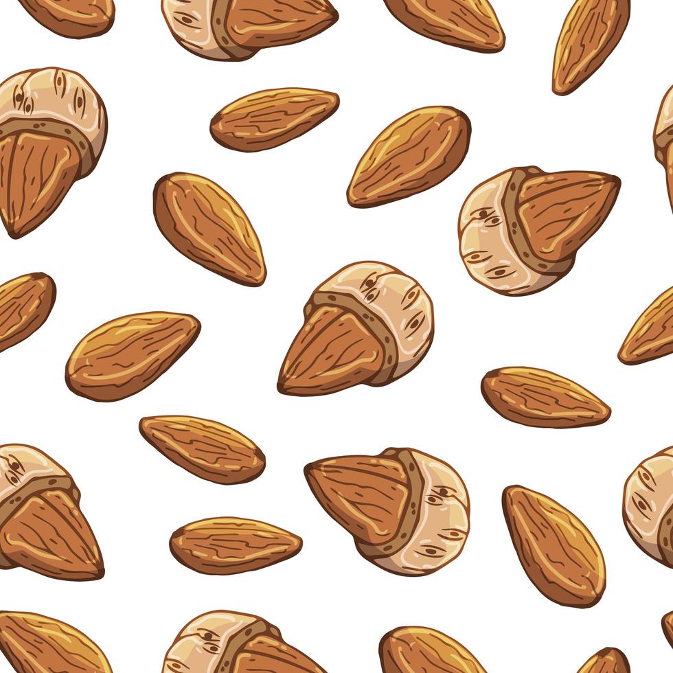 Pattern of vector colorful illustrations on the nutrition theme set of almonds. Realistic isolated objects for your design.