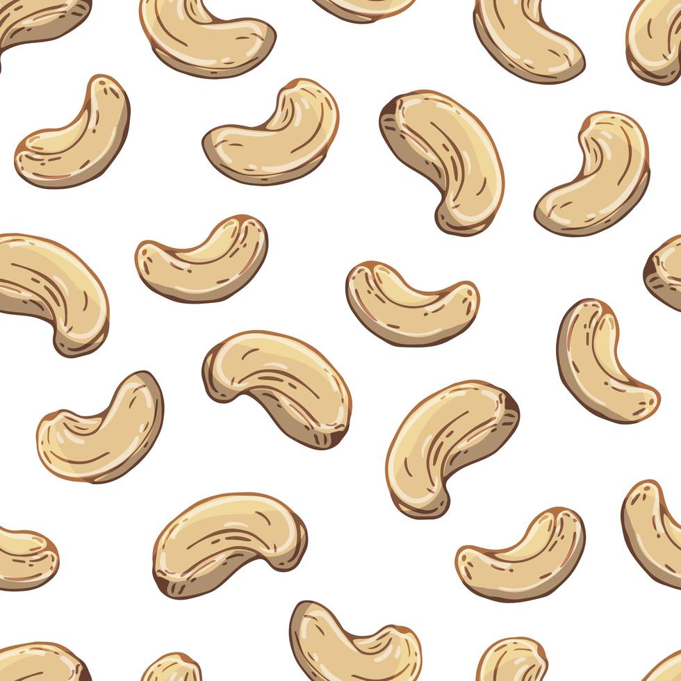 Pattern of vector illustrations on the nutrition theme set of cashews. Realistic isolated objects for your design.