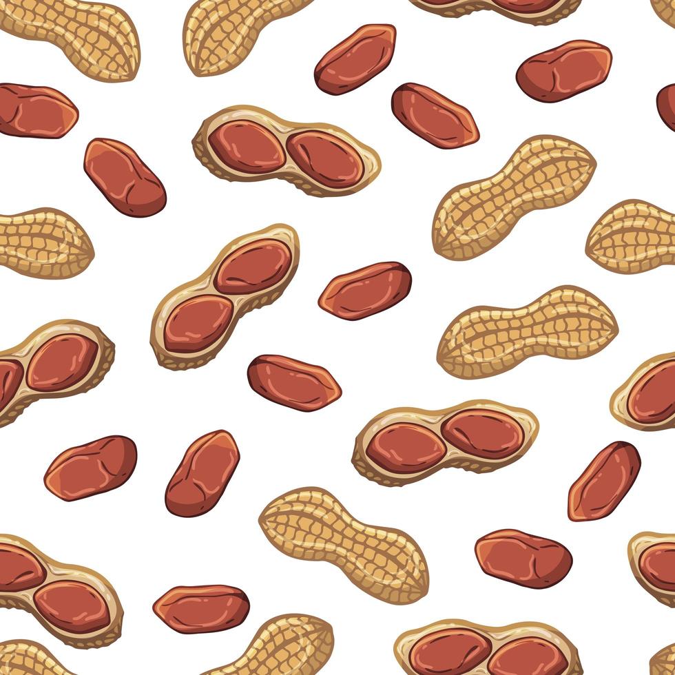 Pattern of vector illustrations on the nutrition theme set of peanuts. Realistic isolated objects for your design.