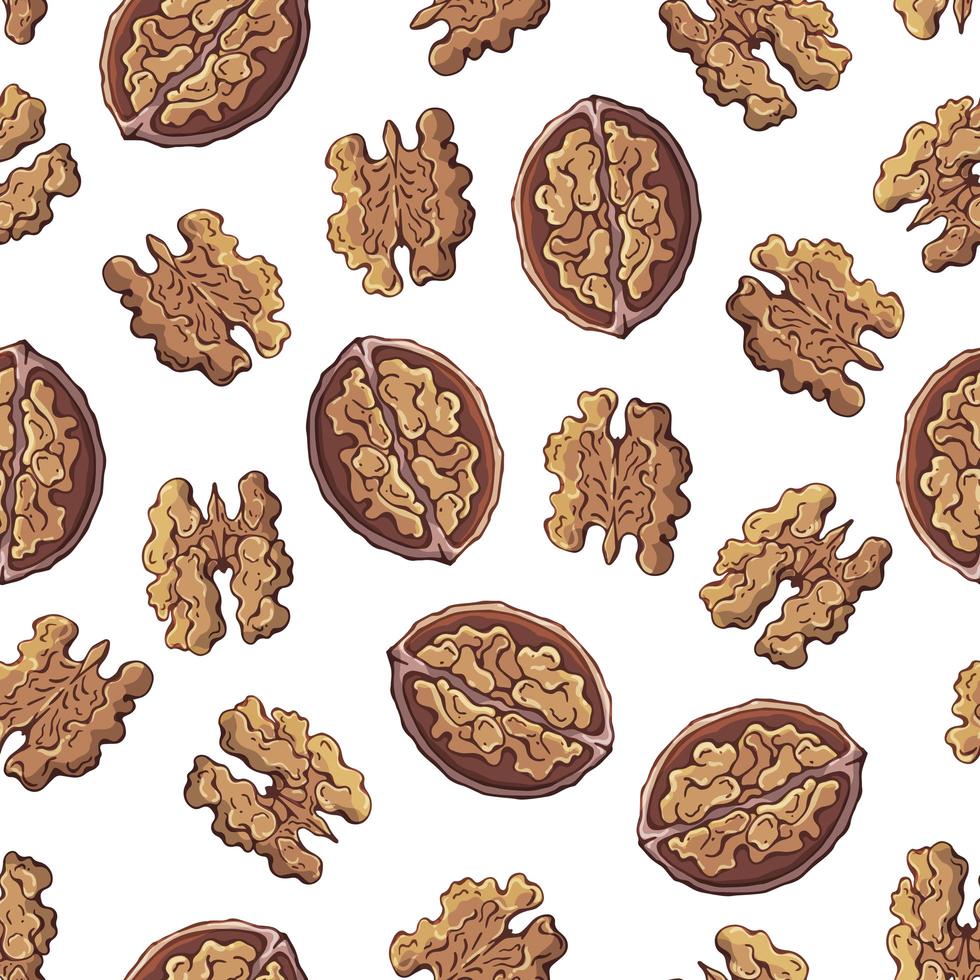 patrón de ilustraciones vectoriales sobre el tema de nutrición conjunto de nueces. objetos aislados realistas para su diseño. vector