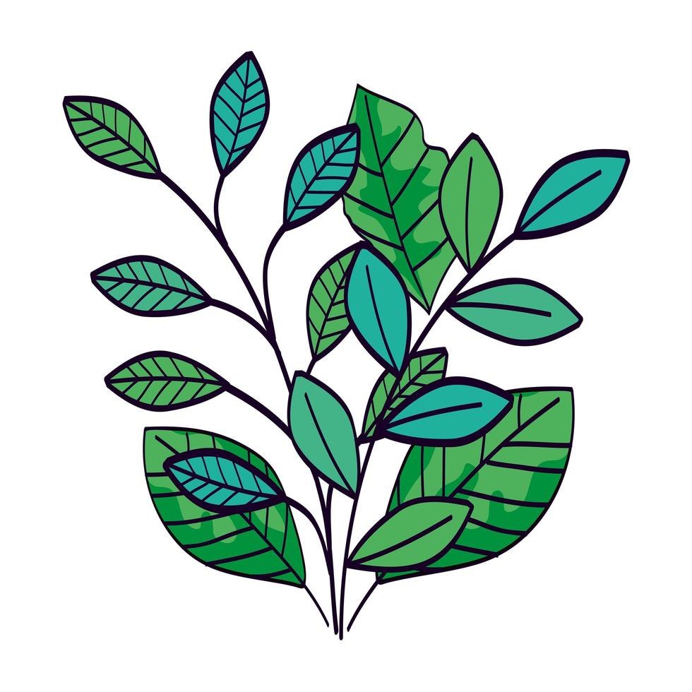 branches with leafs natural isolated icon vector