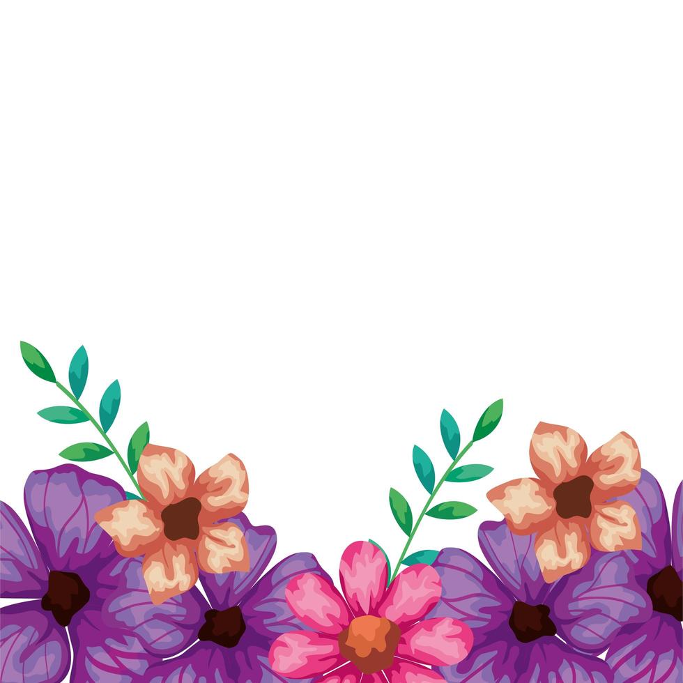 cute flowers pink and purple with leafs vector