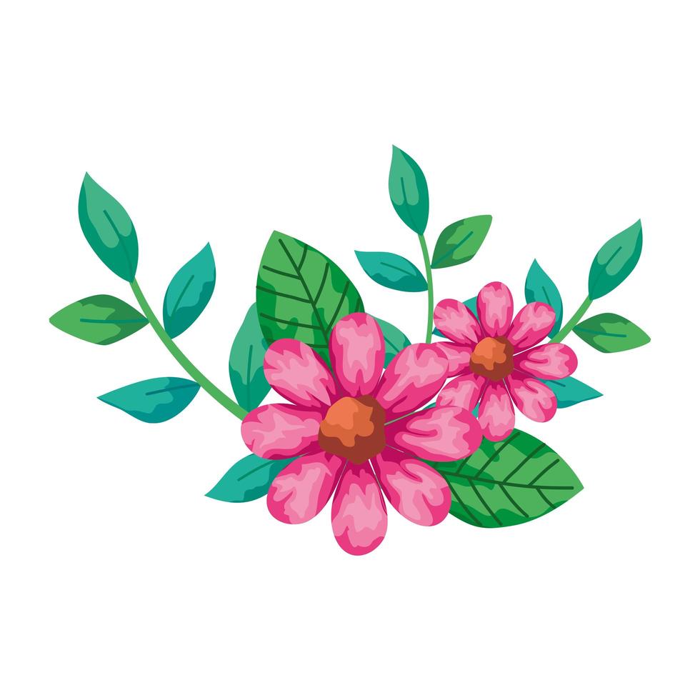 cute flowers pink with branches and leafs isolated icon vector