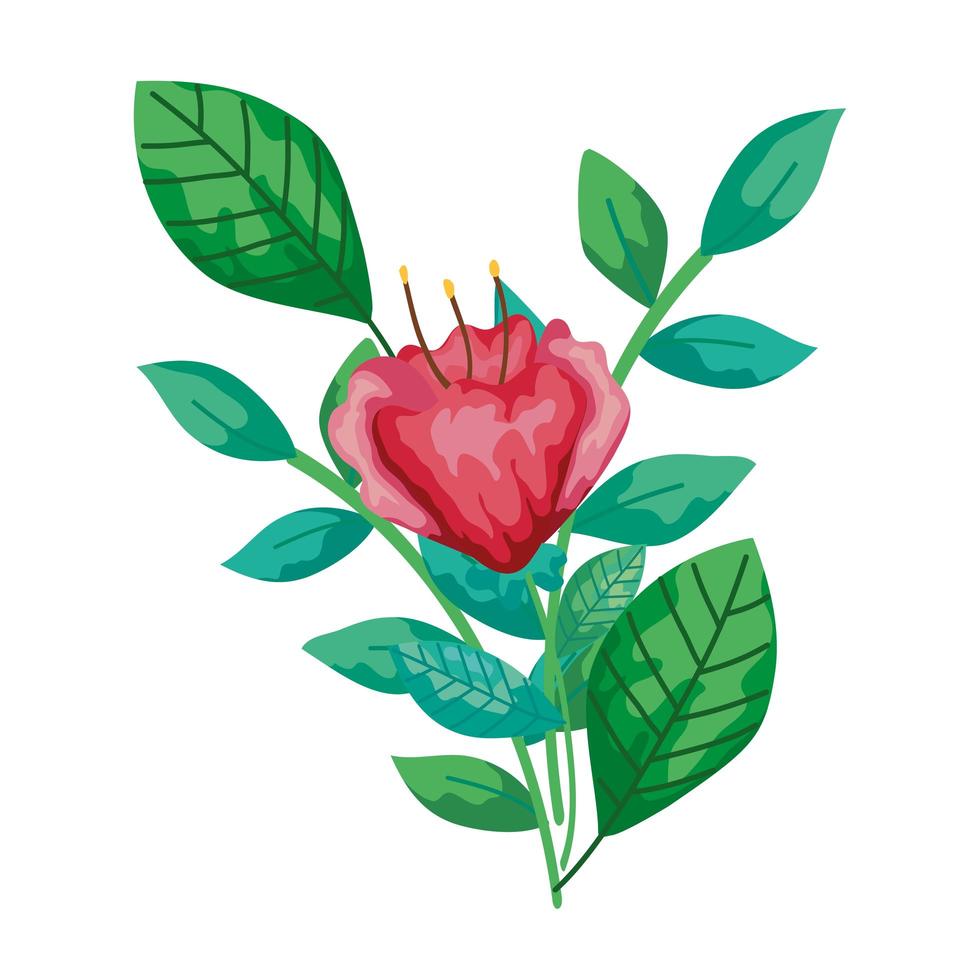 cute flower red with branch and leafs isolated icon vector