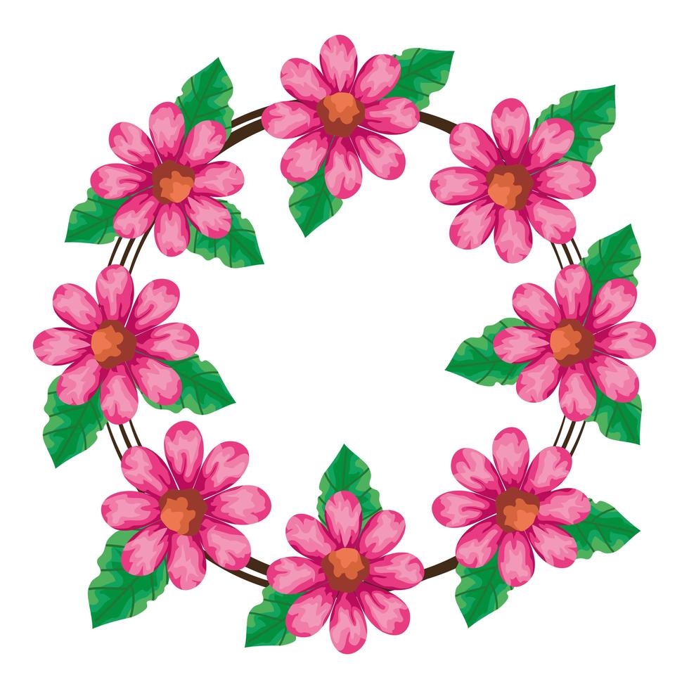 frame circular of flowers pink color with leafs natural vector