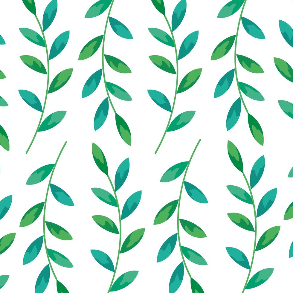 background of branches with leafs decoration vector