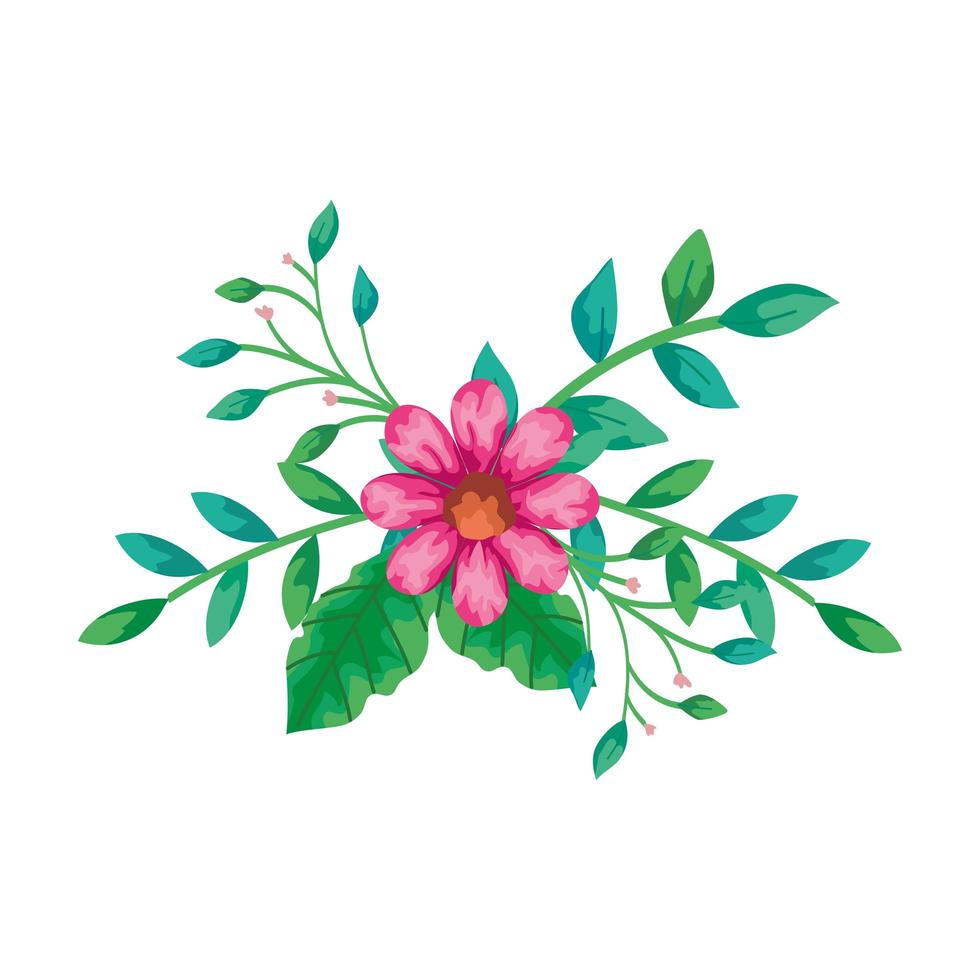 cute flower pink with branches and leafs isolated icon vector