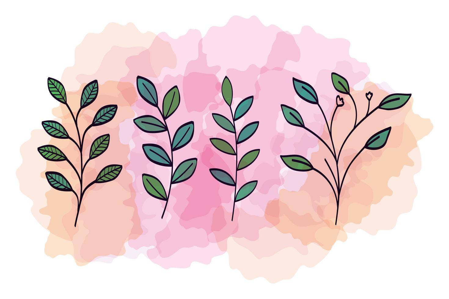 set of branches with leafs naturals vector