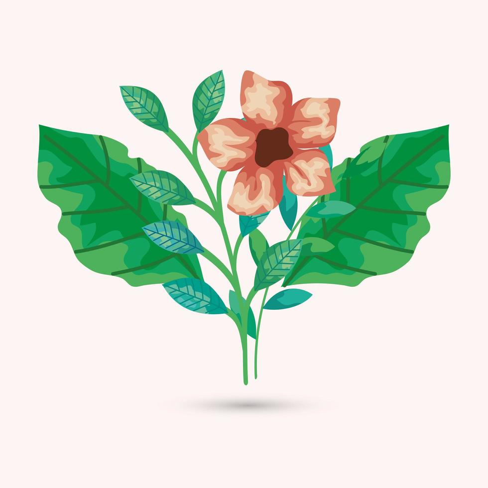 brown flower and leaves vector design