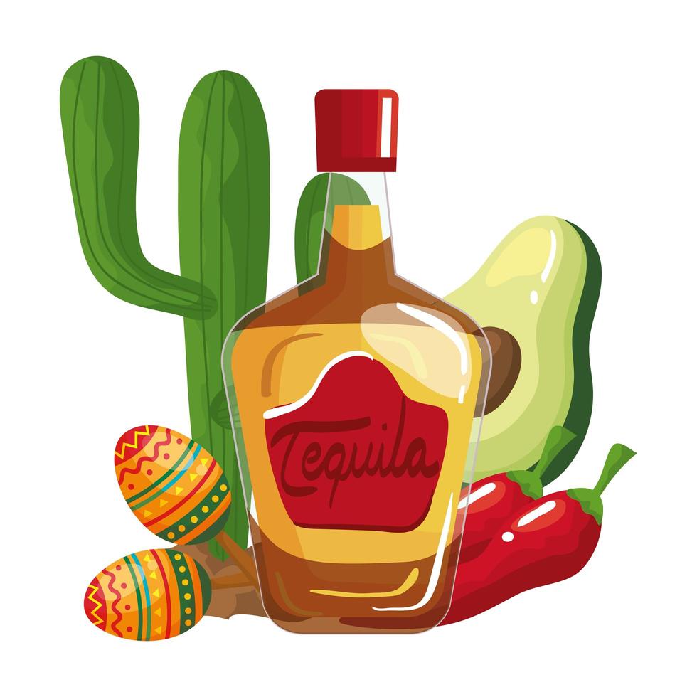 botella de tequila mexicano chillis aguacate maracas y cactus diseño vectorial vector