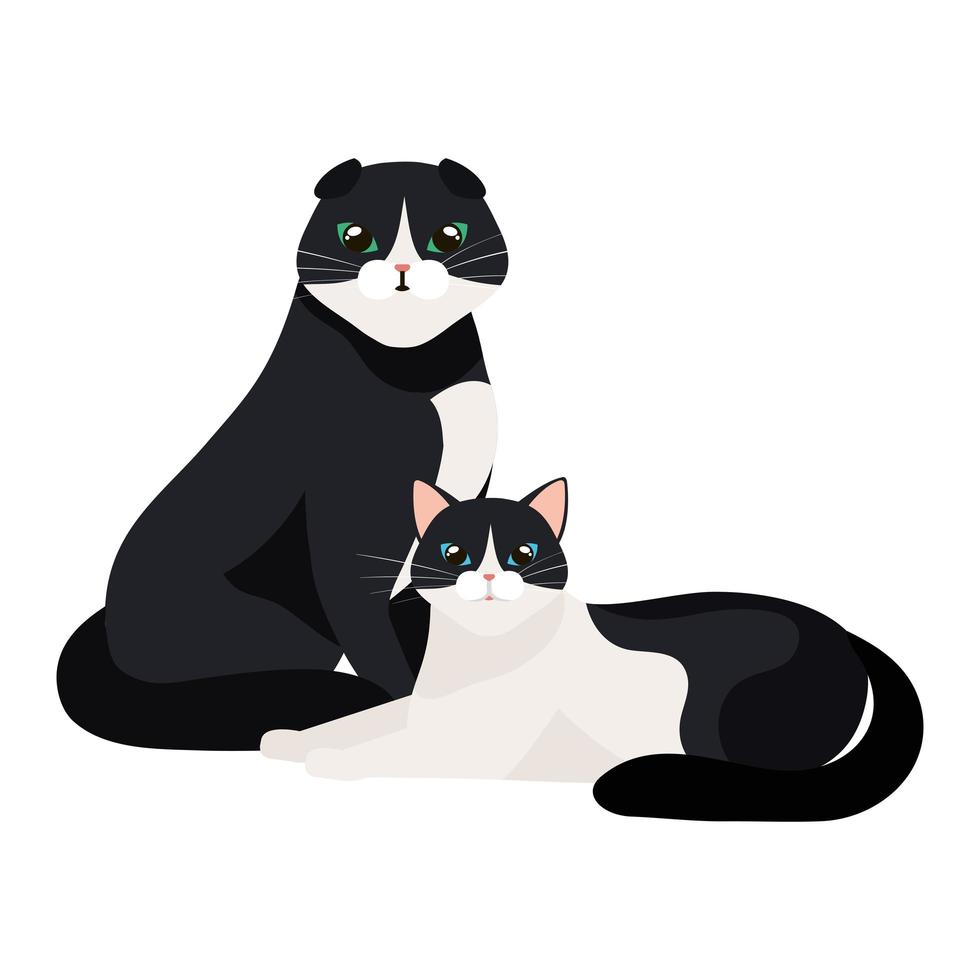 group of cats animals isolated icon vector