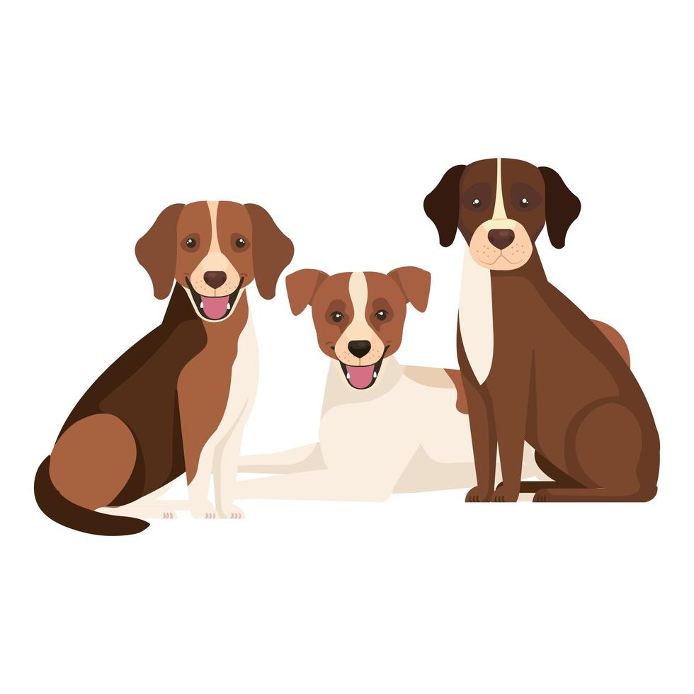 grupo de perros marrones y blancos vector