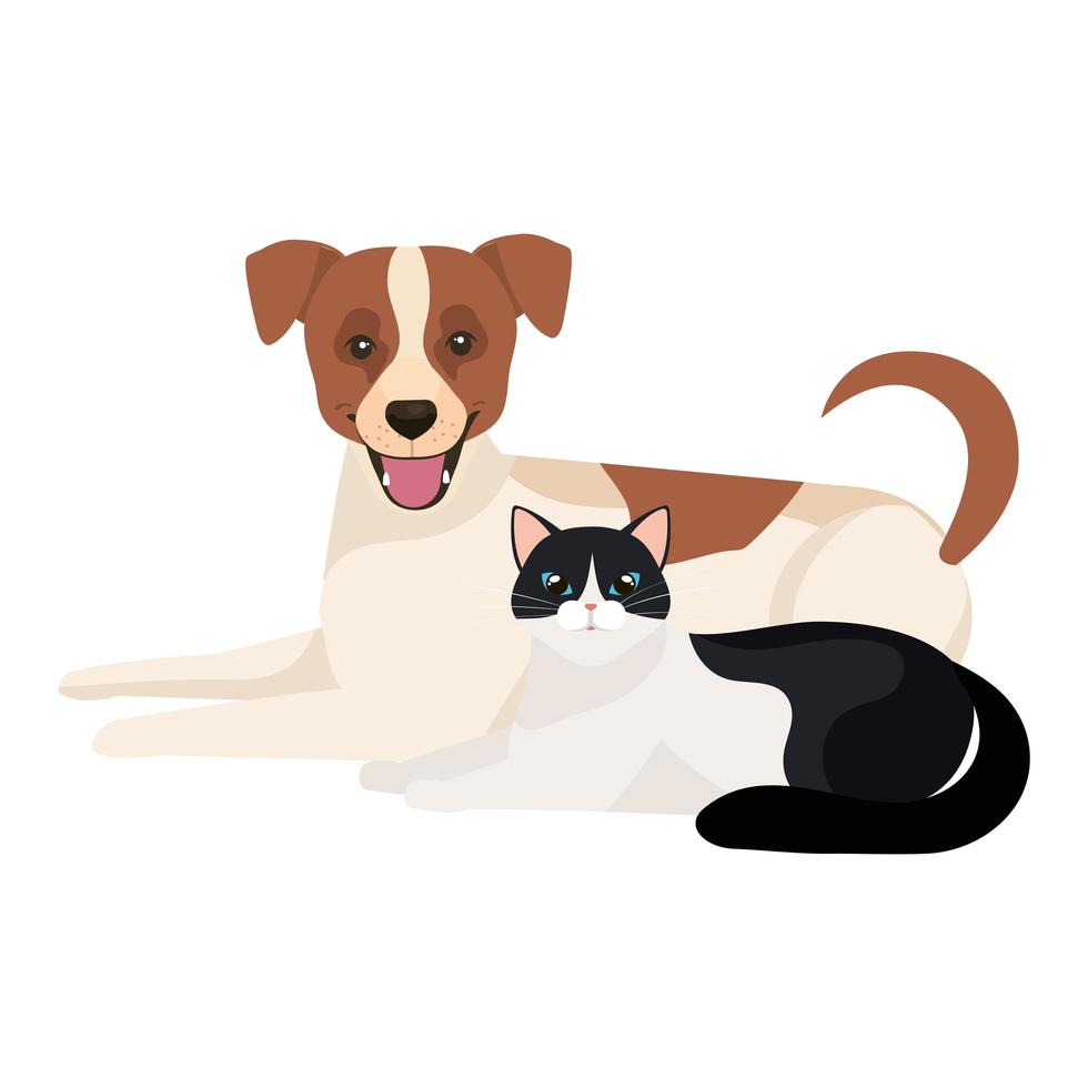 cute dog with cat black and white vector