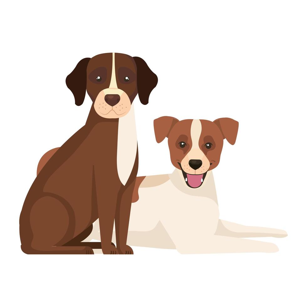 group of dogs brown and white 1910536 Vector Art at Vecteezy