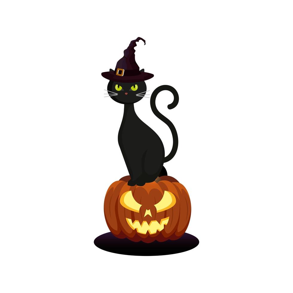 gato felino con sombrero de bruja en calabaza halloween vector