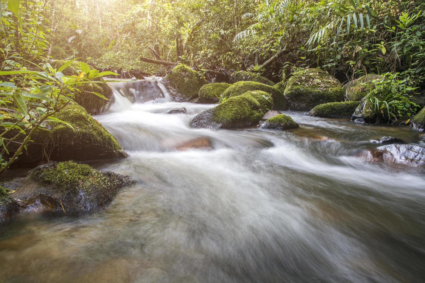 Waterfall in a green forest photo