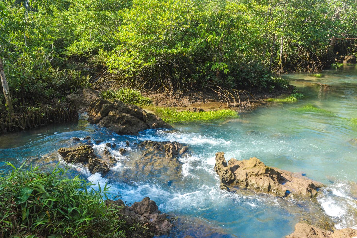 River and forest with cloudy blue sky photo