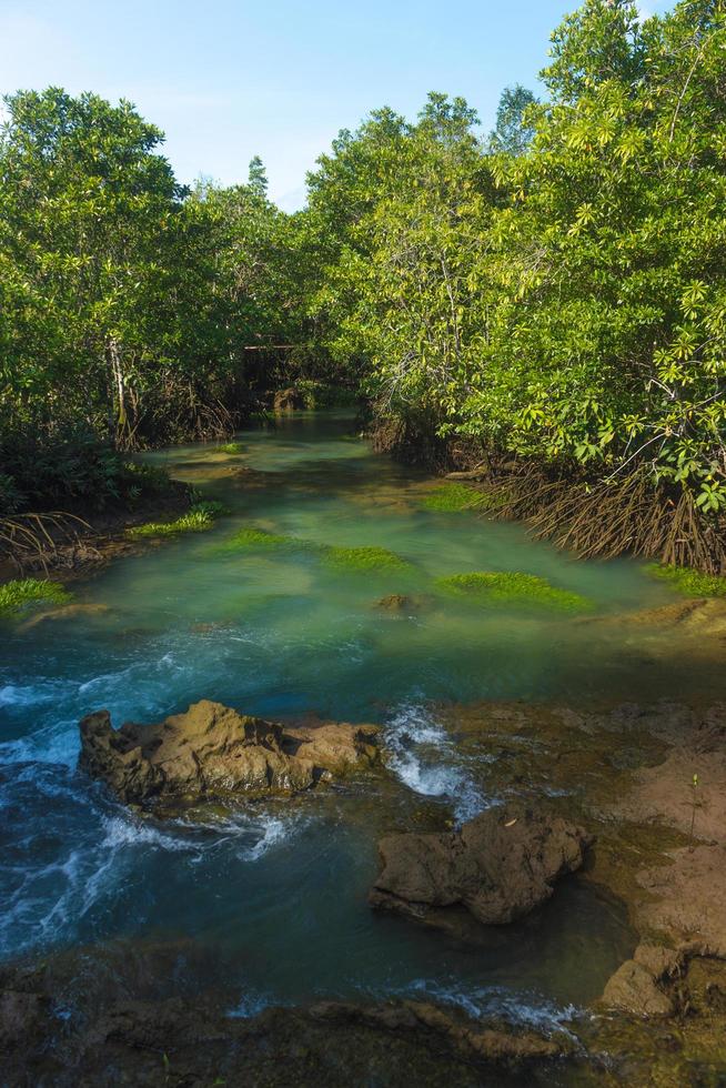 River and forest with cloudy blue sky photo