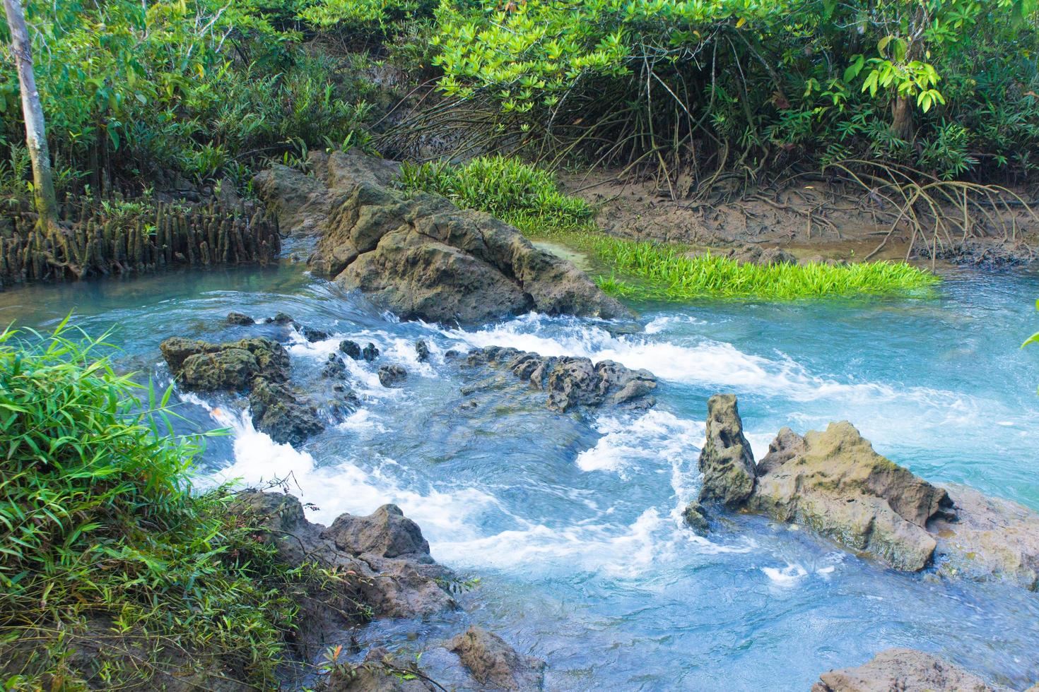 River and rocks in forest photo