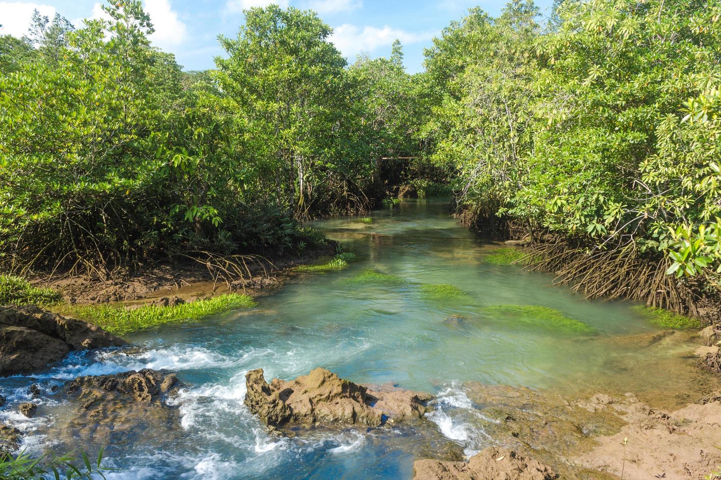 río y bosque con cielo azul nublado foto