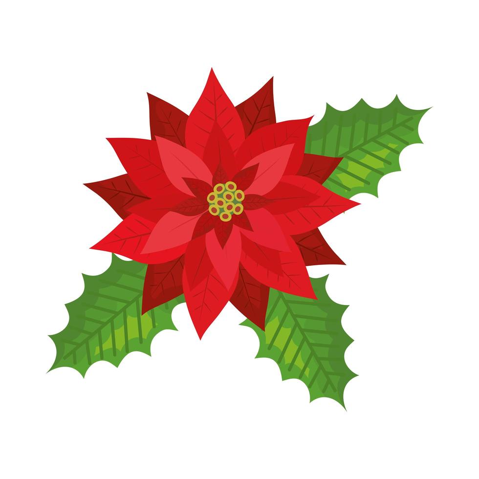 leafs with flower christmas isolated icon vector