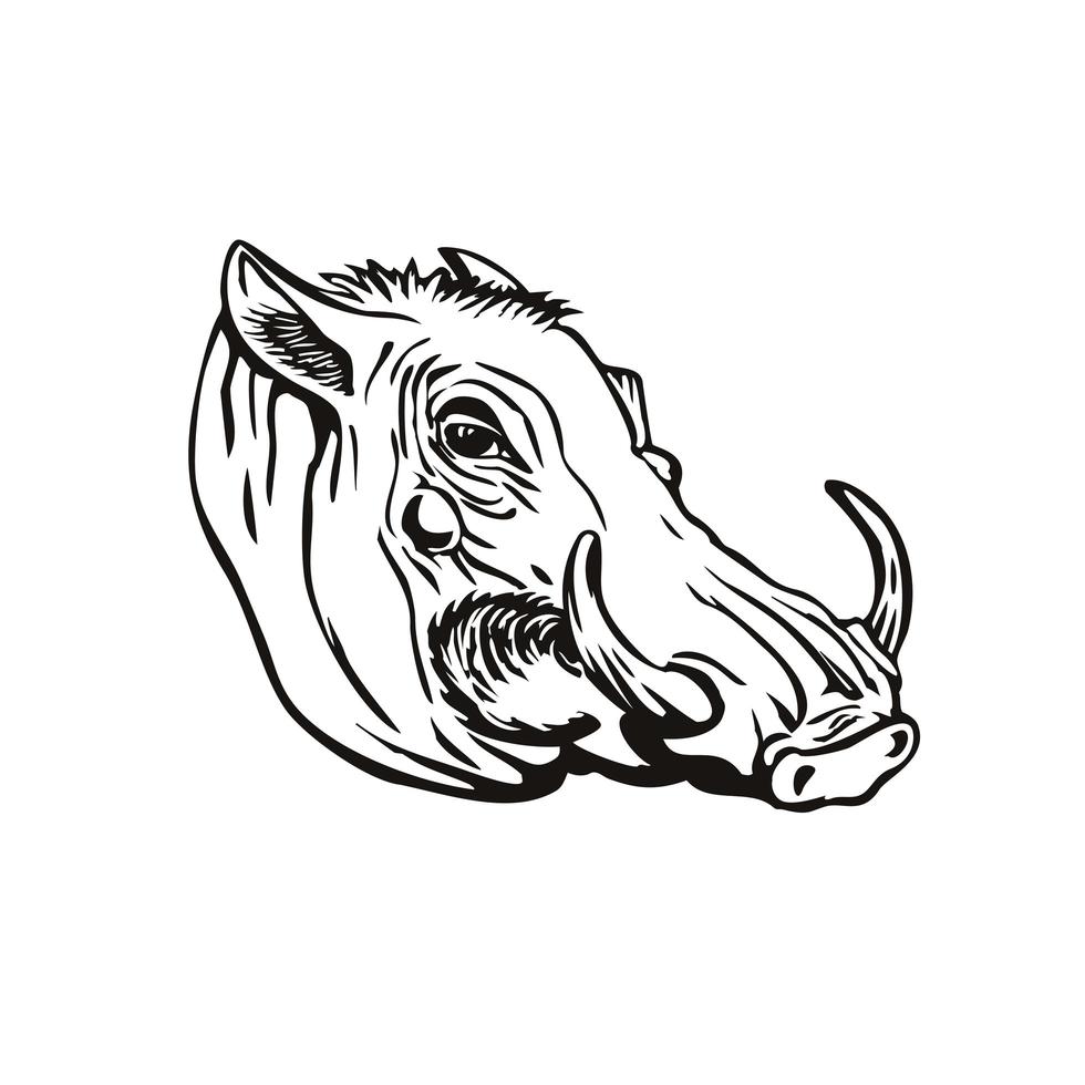 Head of Common Warthog vector