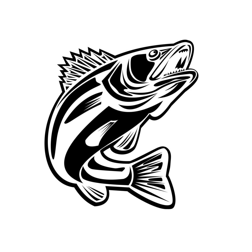 Barramundi Fish Jumping Up Retro Black and White vector