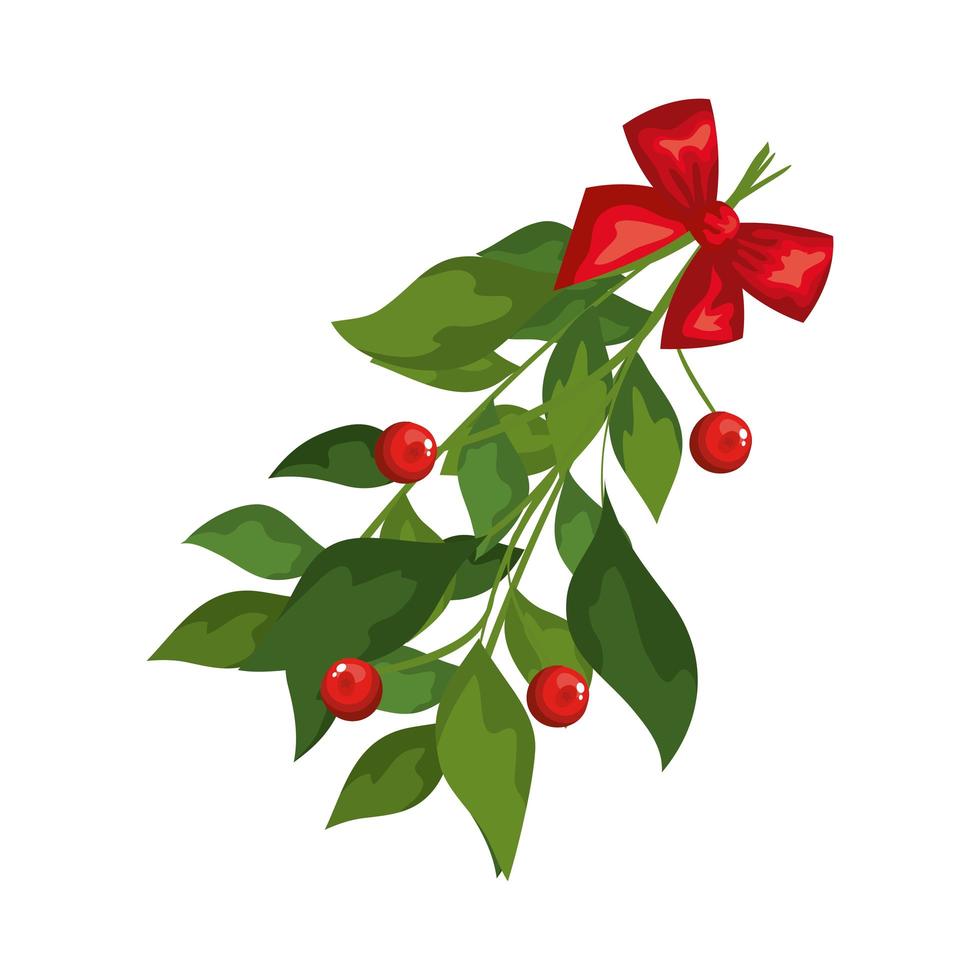 leafs with seeds and bow ribbon decoration christmas vector