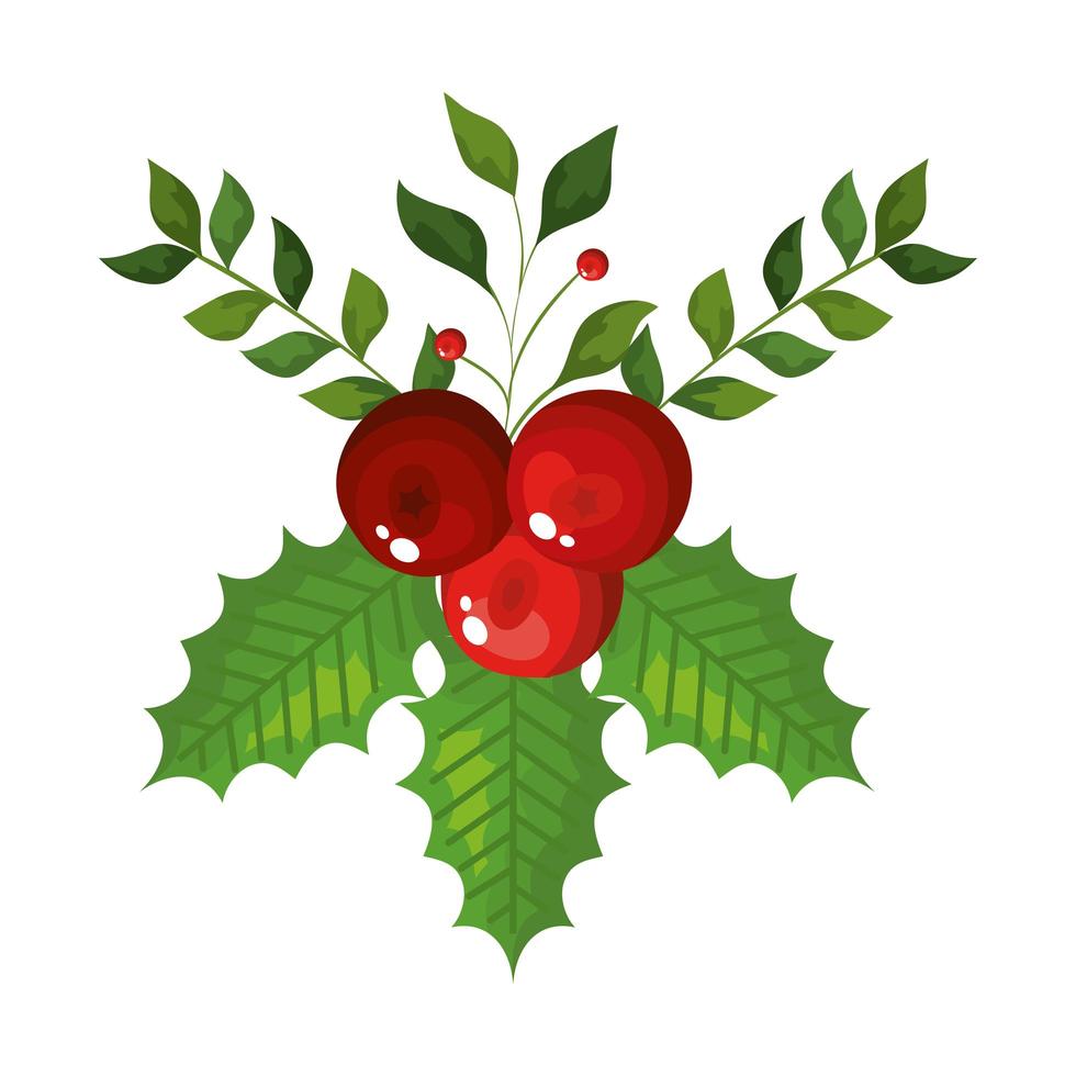 hojas con semillas decoración navidad icono aislado vector