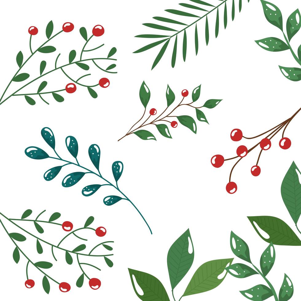 pattern of branches with leafs and seeds vector